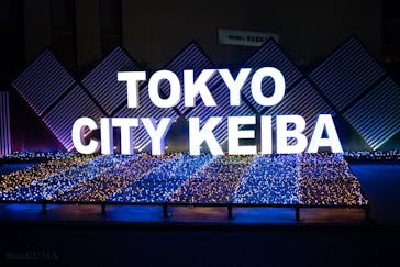 東京メガイルミに投稿された画像（2025/12/25）