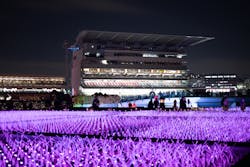 東京メガイルミに投稿された画像（2025/12/25）