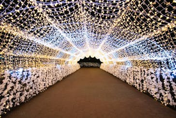 東京メガイルミに投稿された画像（2025/12/25）