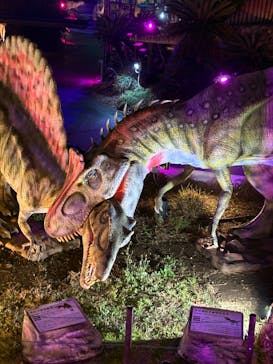 伊豆高原グランイルミに投稿された画像（2025/12/25）