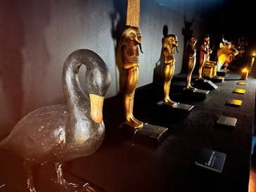 MYSTERY OF TUTANKHAMEN 体感型古代エジプト展に投稿された画像（2025/12/25）