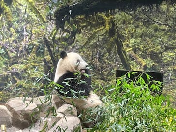 恩賜上野動物園に投稿された画像（2025/12/25）