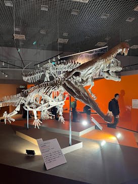 特別展「大絶滅展―生命史のビッグファイブ」に投稿された画像（2025/12/25）
