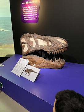 特別展「大絶滅展―生命史のビッグファイブ」に投稿された画像（2025/12/25）