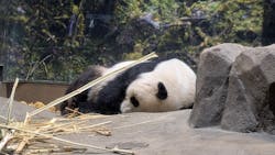 恩賜上野動物園に投稿された画像（2025/12/25）