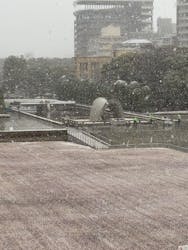 広島平和記念資料館に投稿された画像（2025/12/26）