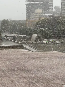 広島平和記念資料館に投稿された画像（2025/12/26）