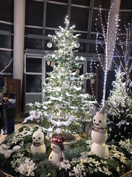 安城産業文化公園デンパークに投稿された画像（2025/12/26）