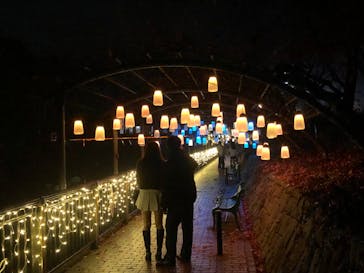 安城産業文化公園デンパークに投稿された画像（2025/12/26）