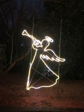 安城産業文化公園デンパークに投稿された画像（2025/12/26）