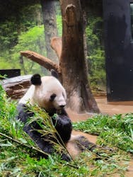 恩賜上野動物園に投稿された画像（2025/12/26）