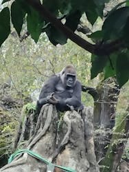 恩賜上野動物園に投稿された画像（2025/12/26）