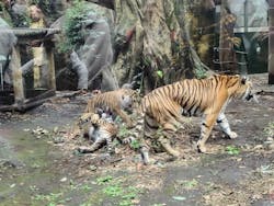 恩賜上野動物園に投稿された画像（2025/12/26）