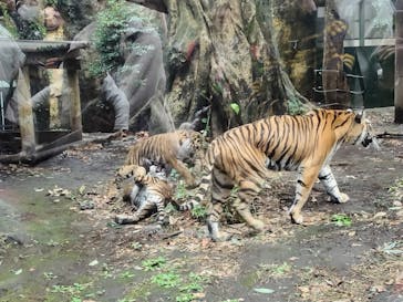 恩賜上野動物園に投稿された画像（2025/12/26）