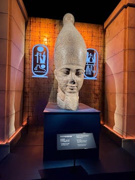 ACN ラムセス大王展 ファラオたちの黄金に投稿された画像（2025/12/26）