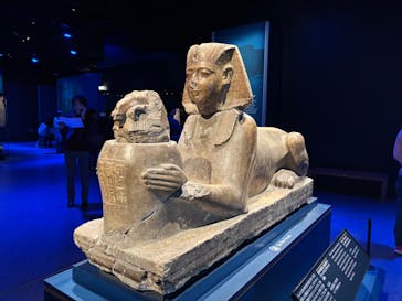 ACN ラムセス大王展 ファラオたちの黄金に投稿された画像（2025/12/26）