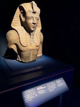 ACN ラムセス大王展 ファラオたちの黄金に投稿された画像（2025/12/26）