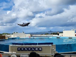 沖縄美ら海水族館に投稿された画像（2025/12/26）