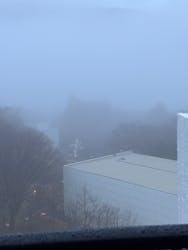 彫刻の森美術館に投稿された画像（2025/12/26）