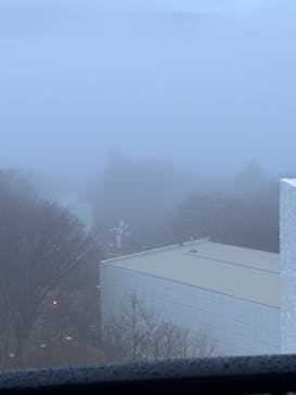 彫刻の森美術館に投稿された画像（2025/12/26）