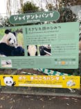 恩賜上野動物園に投稿された画像（2025/12/26）