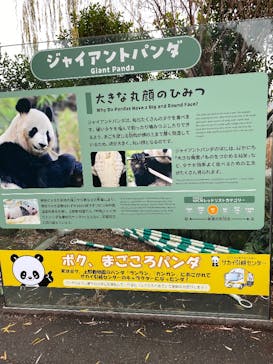 恩賜上野動物園に投稿された画像（2025/12/26）