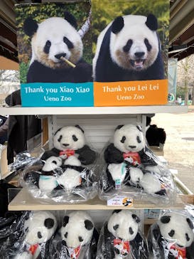 恩賜上野動物園に投稿された画像（2025/12/26）