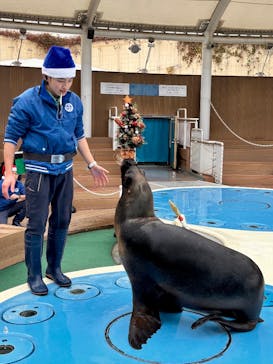 サンシャイン水族館に投稿された画像（2025/12/26）