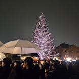 Christmas Market in 横浜赤レンガ倉庫 2025に投稿された画像（2025/12/26）
