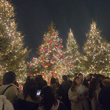 Christmas Market in 横浜赤レンガ倉庫 2025に投稿された画像（2025/12/26）