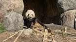 恩賜上野動物園に投稿された画像（2025/12/26）