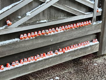 勝尾寺に投稿された画像（2025/12/26）