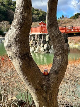 勝尾寺に投稿された画像（2025/12/26）