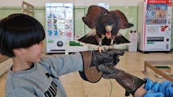 Moff animal world BIGHOPガーデンモール印西店に投稿された画像（2025/12/26）