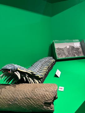 特別展「大絶滅展―生命史のビッグファイブ」に投稿された画像（2025/12/26）