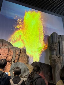 特別展「大絶滅展―生命史のビッグファイブ」に投稿された画像（2025/12/26）