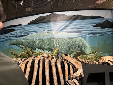 特別展「大絶滅展―生命史のビッグファイブ」に投稿された画像（2025/12/26）