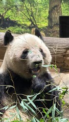 恩賜上野動物園に投稿された画像（2025/12/26）