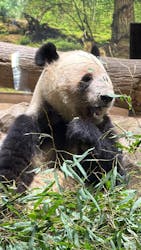 恩賜上野動物園に投稿された画像（2025/12/26）