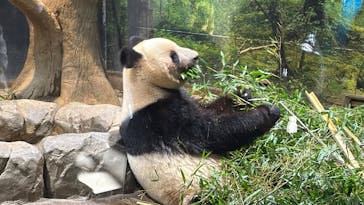 恩賜上野動物園に投稿された画像（2025/12/26）