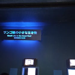 沖縄美ら海水族館に投稿された画像（2025/12/26）