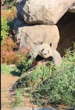 恩賜上野動物園に投稿された画像（2025/12/26）