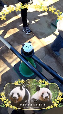 恩賜上野動物園に投稿された画像（2025/12/26）