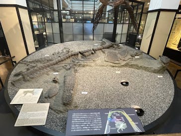 国立科学博物館に投稿された画像（2025/12/26）