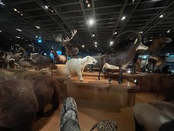 国立科学博物館に投稿された画像（2025/12/26）