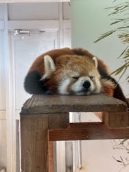 千葉市動物公園に投稿された画像（2025/12/26）