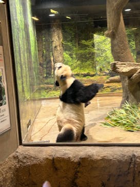 恩賜上野動物園に投稿された画像（2025/12/26）