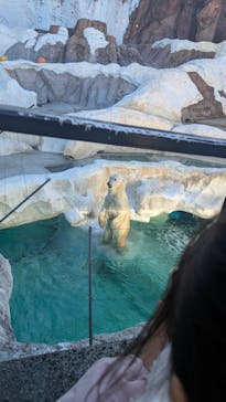 恩賜上野動物園に投稿された画像（2025/12/26）