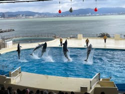 マリンワールド海の中道に投稿された画像（2025/12/26）