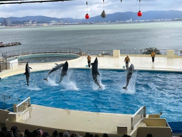 マリンワールド海の中道に投稿された画像（2025/12/26）